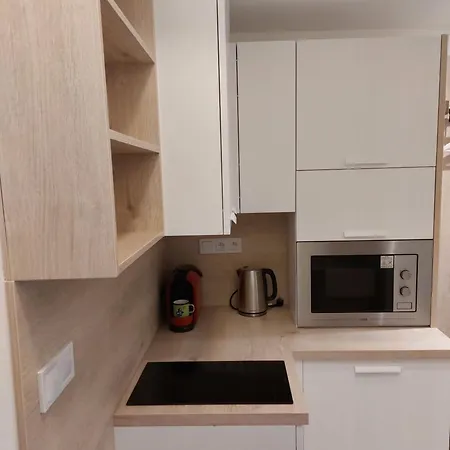Studio-apartment Near Congress Centre 아파트 프라하